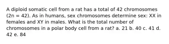 A diploid somatic cell from a rat has a total of 42 chromosomes (2n = 42). As in humans, sex chromosomes determine sex: XX in females and XY in males. What is the total number of chromosomes in a polar body cell from a rat? a. 21 b. 40 c. 41 d. 42 e. 84