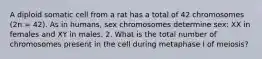 A diploid somatic cell from a rat has a total of 42 chromosomes (2n = 42). As in humans, sex chromosomes determine sex: XX in females and XY in males. 2. What is the total number of chromosomes present in the cell during metaphase I of meiosis?