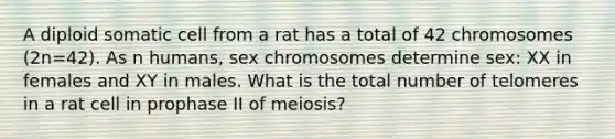 A diploid somatic cell from a rat has a total of 42 chromosomes (2n=42). As n humans, sex chromosomes determine sex: XX in females and XY in males. What is the total number of telomeres in a rat cell in prophase II of meiosis?