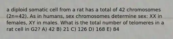 a diploid somatic cell from a rat has a total of 42 chromosomes (2n=42). As in humans, sex chromosomes determine sex: XX in females, XY in males. What is the total number of telomeres in a rat cell in G2? A) 42 B) 21 C) 126 D) 168 E) 84