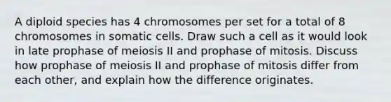 A diploid species has 4 chromosomes per set for a total of 8 chromosomes in somatic cells. Draw such a cell as it would look in late prophase of meiosis II and prophase of mitosis. Discuss how prophase of meiosis II and prophase of mitosis differ from each other, and explain how the difference originates.