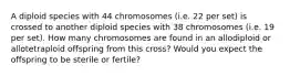 A diploid species with 44 chromosomes (i.e. 22 per set) is crossed to another diploid species with 38 chromosomes (i.e. 19 per set). How many chromosomes are found in an allodiploid or allotetraploid offspring from this cross? Would you expect the offspring to be sterile or fertile?