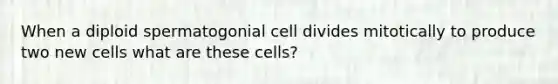 When a diploid spermatogonial cell divides mitotically to produce two new cells what are these cells?