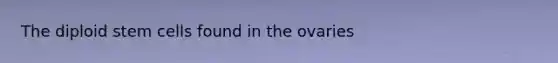The diploid stem cells found in the ovaries