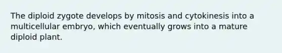 The diploid zygote develops by mitosis and cytokinesis into a multicellular embryo, which eventually grows into a mature diploid plant.