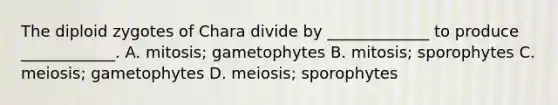 The diploid zygotes of Chara divide by _____________ to produce ____________. A. mitosis; gametophytes B. mitosis; sporophytes C. meiosis; gametophytes D. meiosis; sporophytes