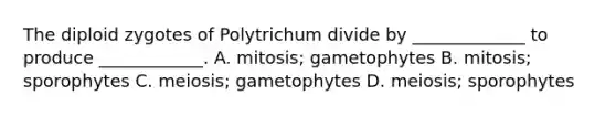 The diploid zygotes of Polytrichum divide by _____________ to produce ____________. A. mitosis; gametophytes B. mitosis; sporophytes C. meiosis; gametophytes D. meiosis; sporophytes