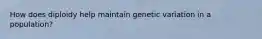 How does diploidy help maintain genetic variation in a population?