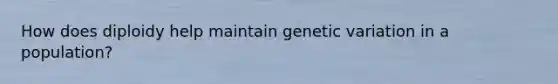 How does diploidy help maintain genetic variation in a population?