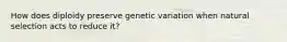 How does diploidy preserve genetic variation when natural selection acts to reduce it?