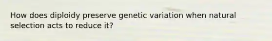 How does diploidy preserve genetic variation when natural selection acts to reduce it?