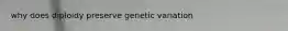 why does diploidy preserve genetic variation