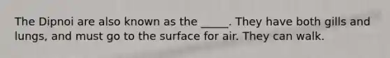 The Dipnoi are also known as the _____. They have both gills and lungs, and must go to the surface for air. They can walk.