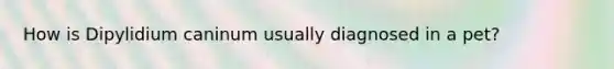 How is Dipylidium caninum usually diagnosed in a pet?