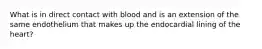 What is in direct contact with blood and is an extension of the same endothelium that makes up the endocardial lining of the heart?