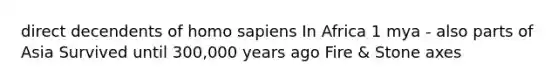 direct decendents of homo sapiens In Africa 1 mya - also parts of Asia Survived until 300,000 years ago Fire & Stone axes