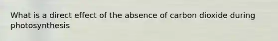 What is a direct effect of the absence of carbon dioxide during photosynthesis