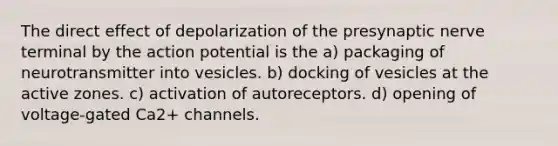 The direct effect of depolarization of the presynaptic nerve terminal by the action potential is the a) packaging of neurotransmitter into vesicles. b) docking of vesicles at the active zones. c) activation of autoreceptors. d) opening of voltage-gated Ca2+ channels.