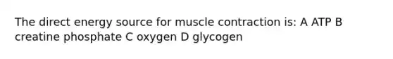 The direct energy source for muscle contraction is: A ATP B creatine phosphate C oxygen D glycogen