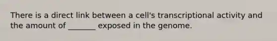 There is a direct link between a cell's transcriptional activity and the amount of _______ exposed in the genome.