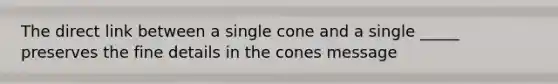 The direct link between a single cone and a single _____ preserves the fine details in the cones message