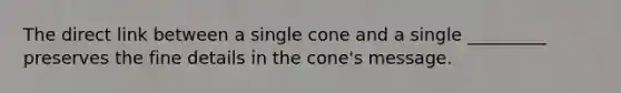 The direct link between a single cone and a single _________ preserves the fine details in the cone's message.