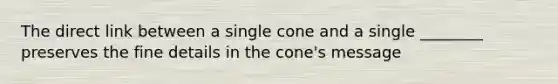 The direct link between a single cone and a single ________ preserves the fine details in the cone's message