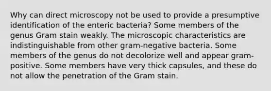 Why can direct microscopy not be used to provide a presumptive identification of the enteric bacteria? Some members of the genus Gram stain weakly. The microscopic characteristics are indistinguishable from other gram-negative bacteria. Some members of the genus do not decolorize well and appear gram-positive. Some members have very thick capsules, and these do not allow the penetration of the Gram stain.