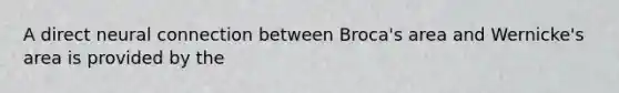 A direct neural connection between Broca's area and Wernicke's area is provided by the