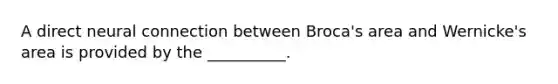 A direct neural connection between Broca's area and Wernicke's area is provided by the __________.