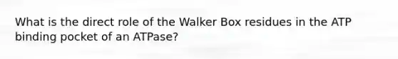 What is the direct role of the Walker Box residues in the ATP binding pocket of an ATPase?