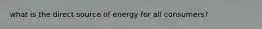 what is the direct source of energy for all consumers?