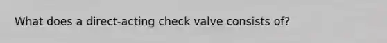 What does a direct-acting check valve consists of?