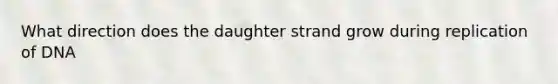 What direction does the daughter strand grow during replication of DNA