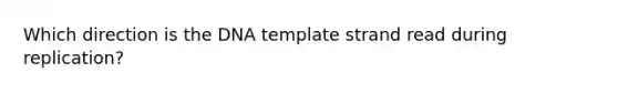 Which direction is the DNA template strand read during replication?