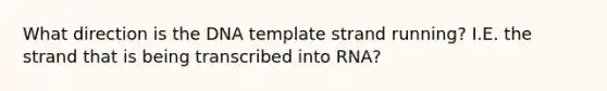 What direction is the DNA template strand running? I.E. the strand that is being transcribed into RNA?