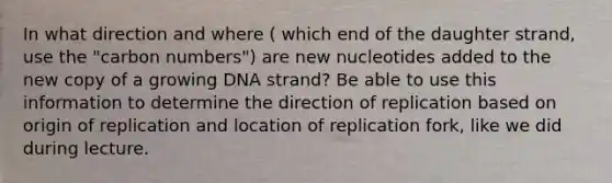 In what direction and where ( which end of the daughter strand, use the "carbon numbers") are new nucleotides added to the new copy of a growing DNA strand? Be able to use this information to determine the direction of replication based on origin of replication and location of replication fork, like we did during lecture.