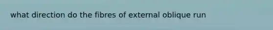 what direction do the fibres of external oblique run