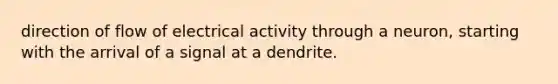 direction of flow of electrical activity through a neuron, starting with the arrival of a signal at a dendrite.