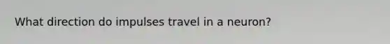 What direction do impulses travel in a neuron?