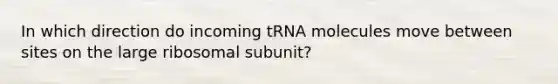 In which direction do incoming tRNA molecules move between sites on the large ribosomal subunit?