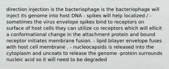 direction injection is the bacteriophage is the bacteriophage will inject its genome into host DNA - spikes will help localized / - sometimes the virus envelope spikes bind to receptors on surface of host cells they can utilize co receptors which will ellicit a conformational change in the attachment protein and bound receptor initiates membrane fusion. - lipid bilayer envelope fuses with host cell membrane . - nucleocapsids is released into the cytoplasm and uncoats to release the genome -protein surrounds nucleic acid so it will need to be degraded