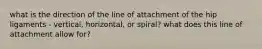 what is the direction of the line of attachment of the hip ligaments - vertical, horizontal, or spiral? what does this line of attachment allow for?