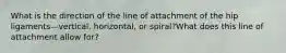 What is the direction of the line of attachment of the hip ligaments—vertical, horizontal, or spiral?What does this line of attachment allow for?