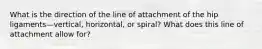 What is the direction of the line of attachment of the hip ligaments—vertical, horizontal, or spiral? What does this line of attachment allow for?