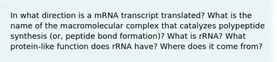 In what direction is a mRNA transcript translated? What is the name of the macromolecular complex that catalyzes polypeptide synthesis (or, peptide bond formation)? What is rRNA? What protein-like function does rRNA have? Where does it come from?