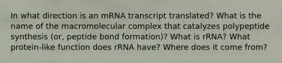 In what direction is an mRNA transcript translated? What is the name of the macromolecular complex that catalyzes polypeptide synthesis (or, peptide bond formation)? What is rRNA? What protein-like function does rRNA have? Where does it come from?