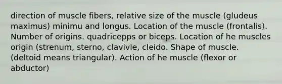 direction of muscle fibers, relative size of the muscle (gludeus maximus) minimu and longus. Location of the muscle (frontalis). Number of origins. quadricepps or biceps. Location of he muscles origin (strenum, sterno, clavivle, cleido. Shape of muscle. (deltoid means triangular). Action of he muscle (flexor or abductor)