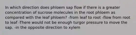 In which direction does phloem sap flow if there is a greater concentration of sucrose molecules in the root phloem as compared with the leaf phloem? -from leaf to root -flow from root to leaf -There would not be enough turgor pressure to move the sap. -in the opposite direction to xylem