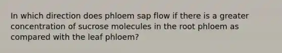 In which direction does phloem sap flow if there is a greater concentration of sucrose molecules in the root phloem as compared with the leaf phloem?